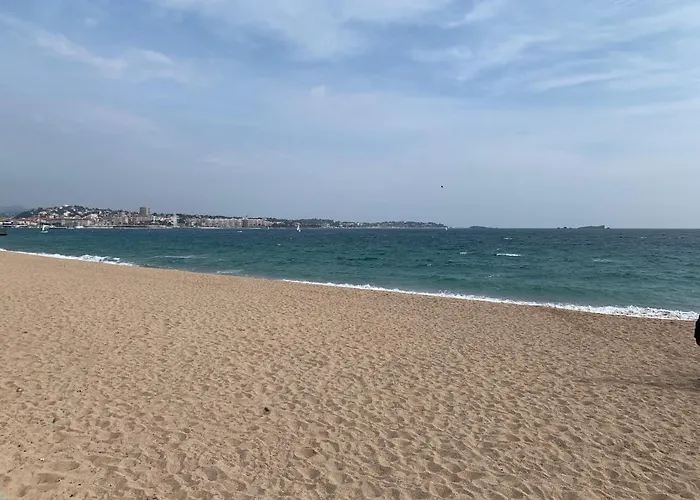 Studio Confort Port De Frejus